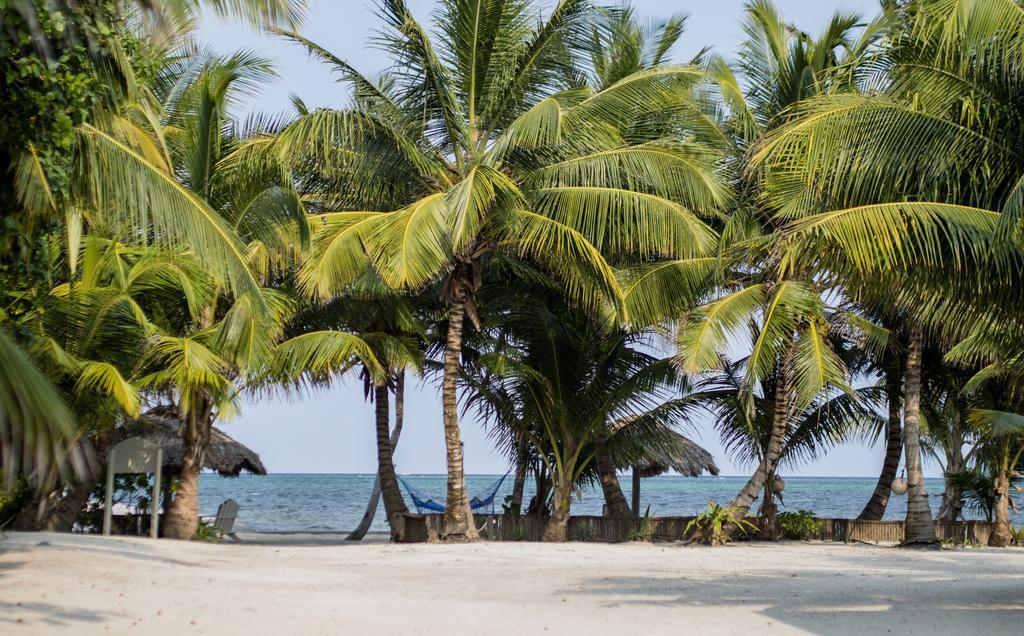 Cocotal Inn And Cabanas San Pedro  Ngoại thất bức ảnh